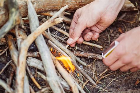 Dec 22, 2020 · Use a fire poker or long piece of wood to move sticks and logs around so everything starts to burn at the same time. Add additional sticks to help the fire grow if it looks like it might go out. Blow on the fire or use a bellows to give it oxygen. This will help it burn better. 2.8 Step 8: Add bigger logs when the fire is burning well